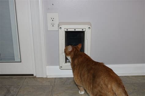 directional system for cat door